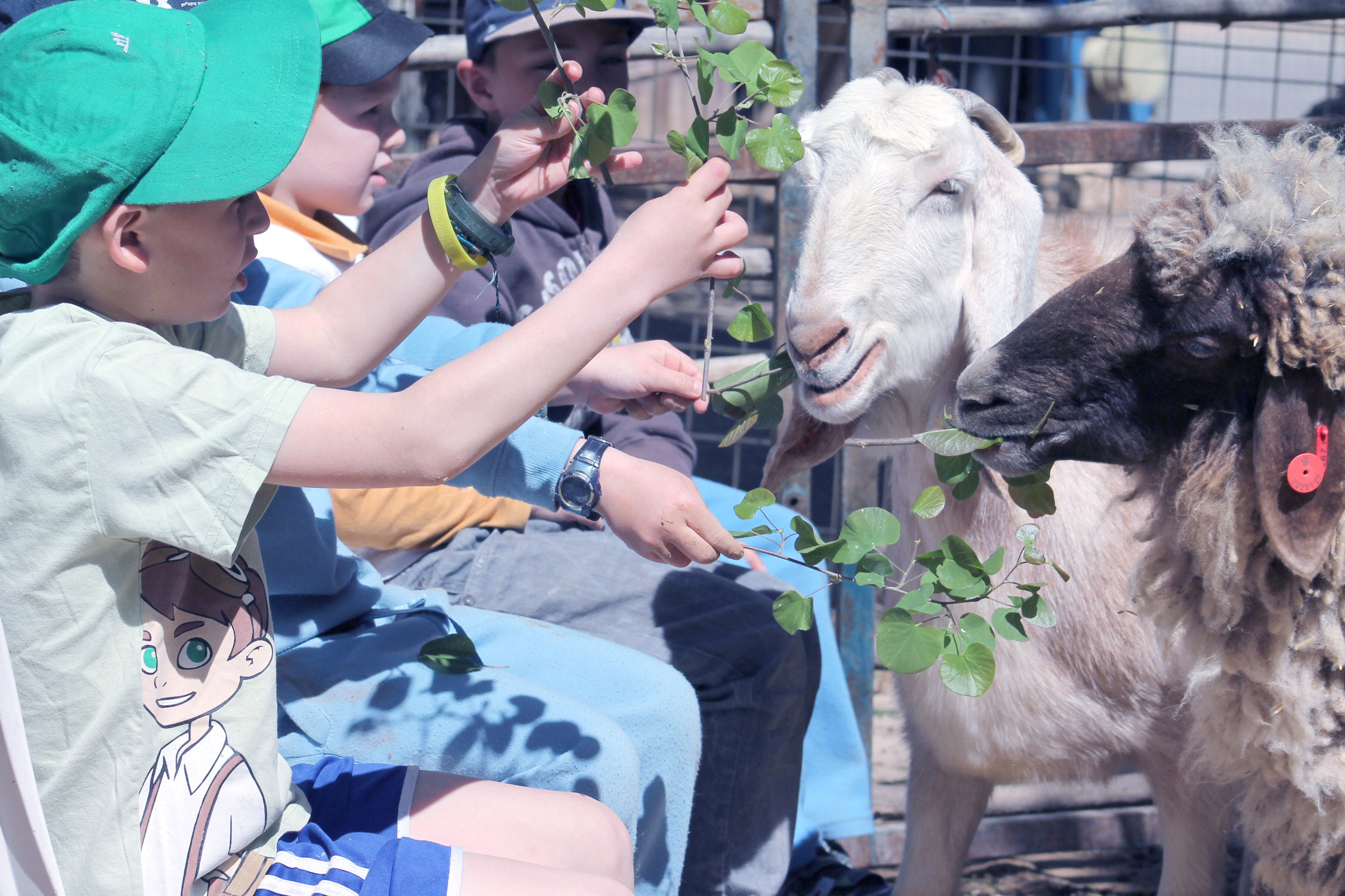 אטרקציות בסמוך למלון
